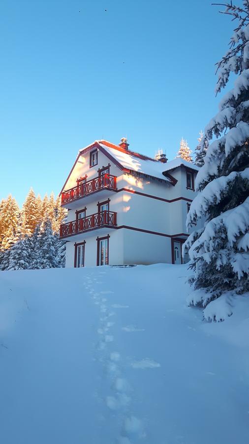 Vila Natasa Kopaonik Luaran gambar
