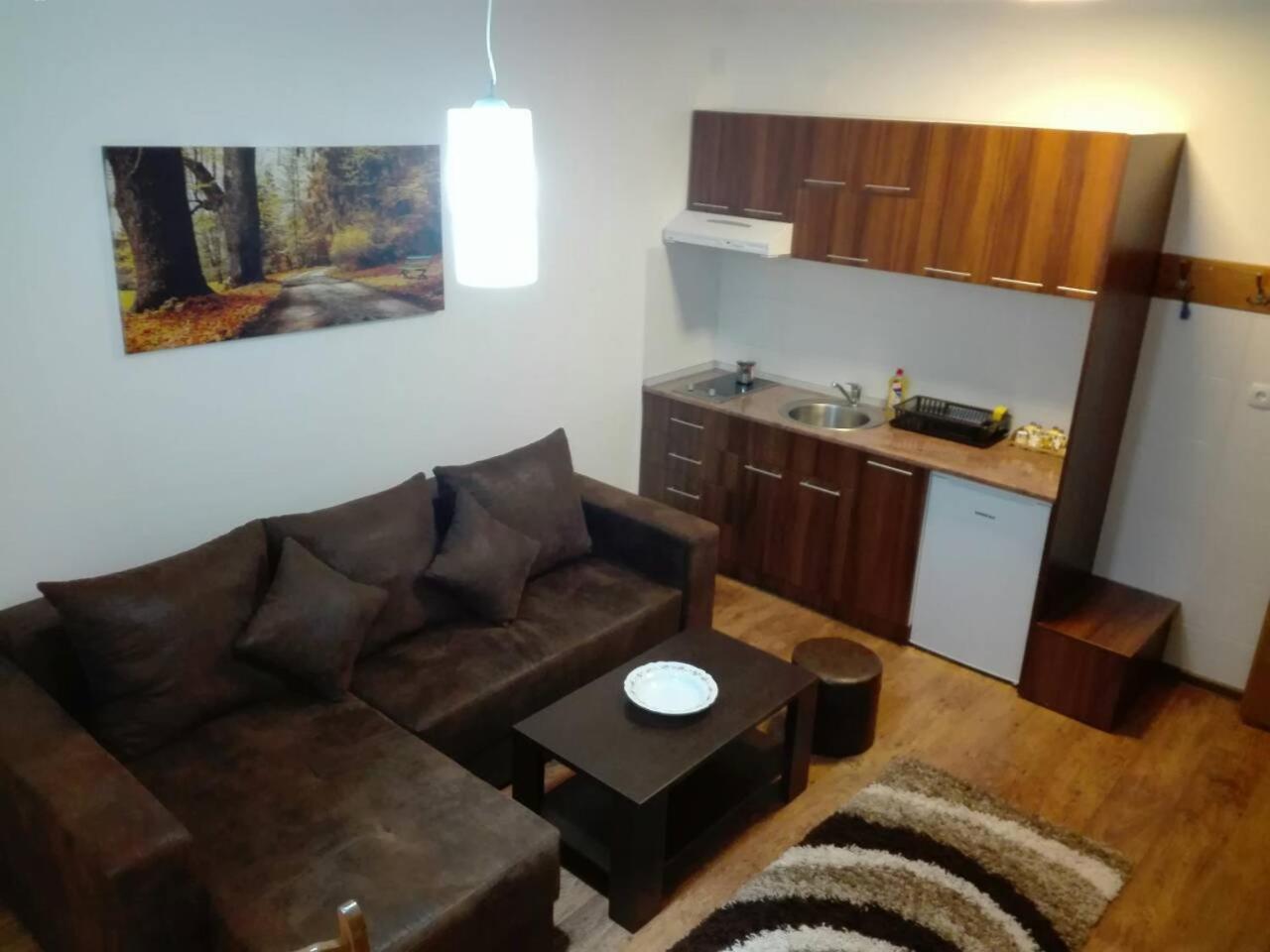 Vila Natasa Kopaonik Luaran gambar