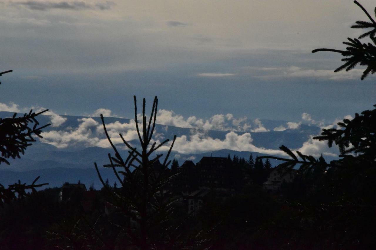 Vila Natasa Kopaonik Luaran gambar